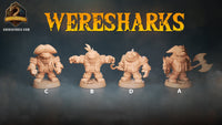 Thumbnail for Wereshark Bundle 2
