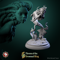 Thumbnail for Brackwater Siren Bundle