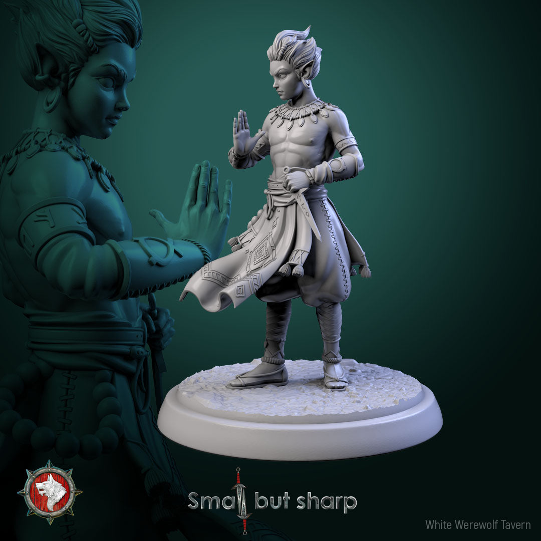 Halfing Monk Bundle