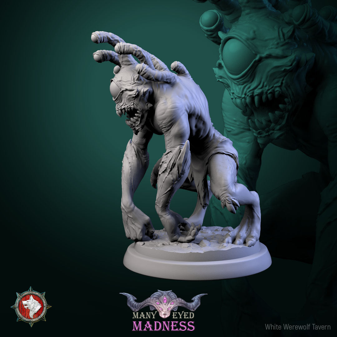 Morpheye Bundle