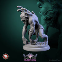 Thumbnail for Morpheye Bundle