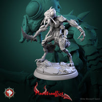 Thumbnail for Memorants Bundle
