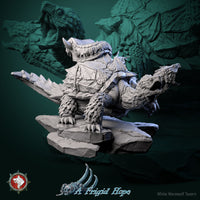 Thumbnail for Two-Headed Turtle