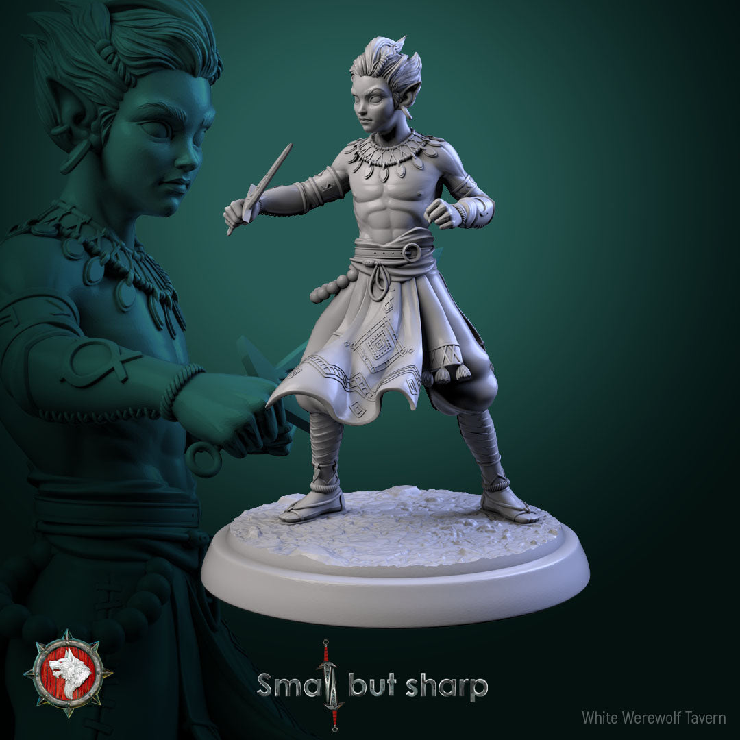 Halfing Monk Bundle