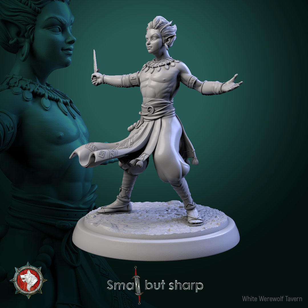 Halfing Monk Bundle