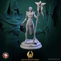 Thumbnail for Cursed Mummies Bundle