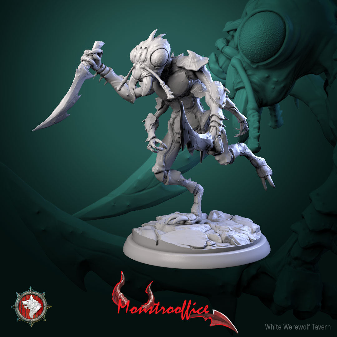 Memorants Bundle