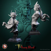 Thumbnail for Ysselara Bust