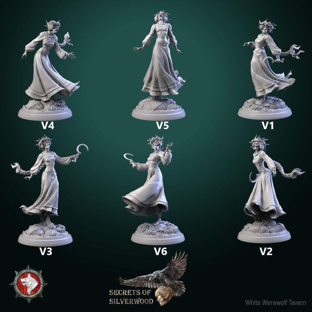 Noonwraith Bundle
