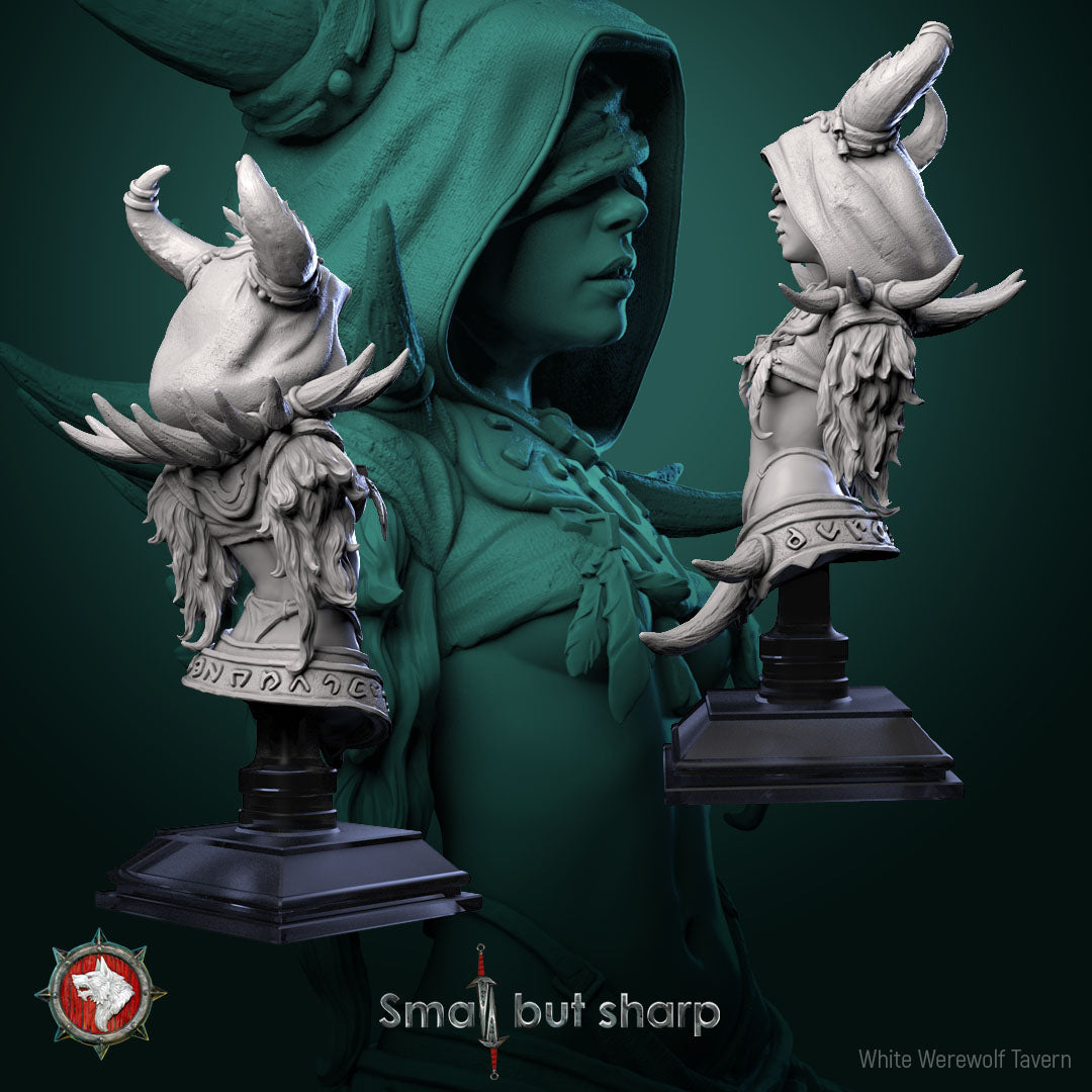 Halfling Sorcerer Bust