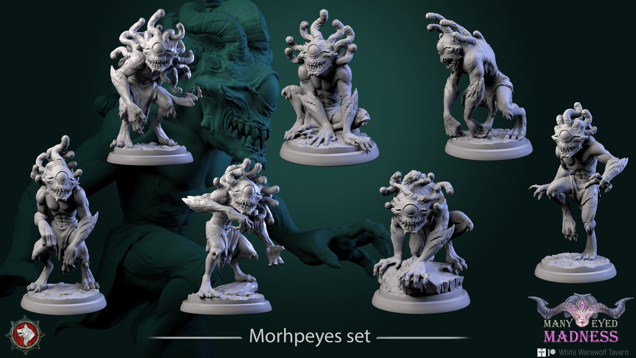 Morpheye Bundle