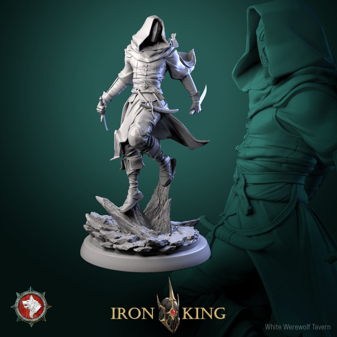 Dead Assassin Bundle