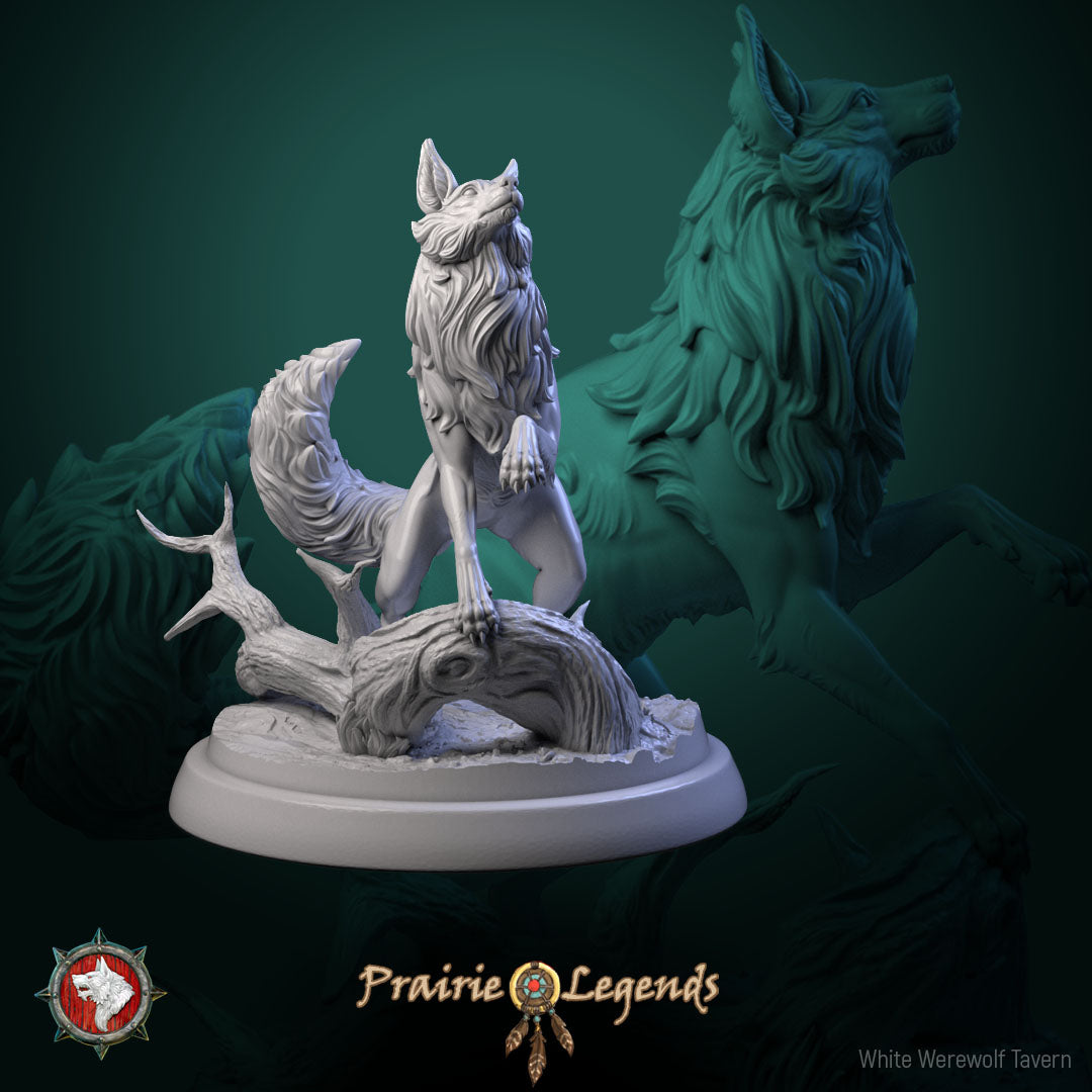 Magic Fox Bundle