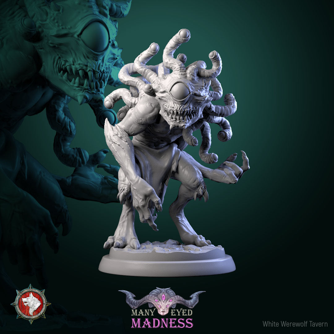 Morpheye Bundle