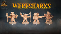 Thumbnail for Wereshark Bundle 4