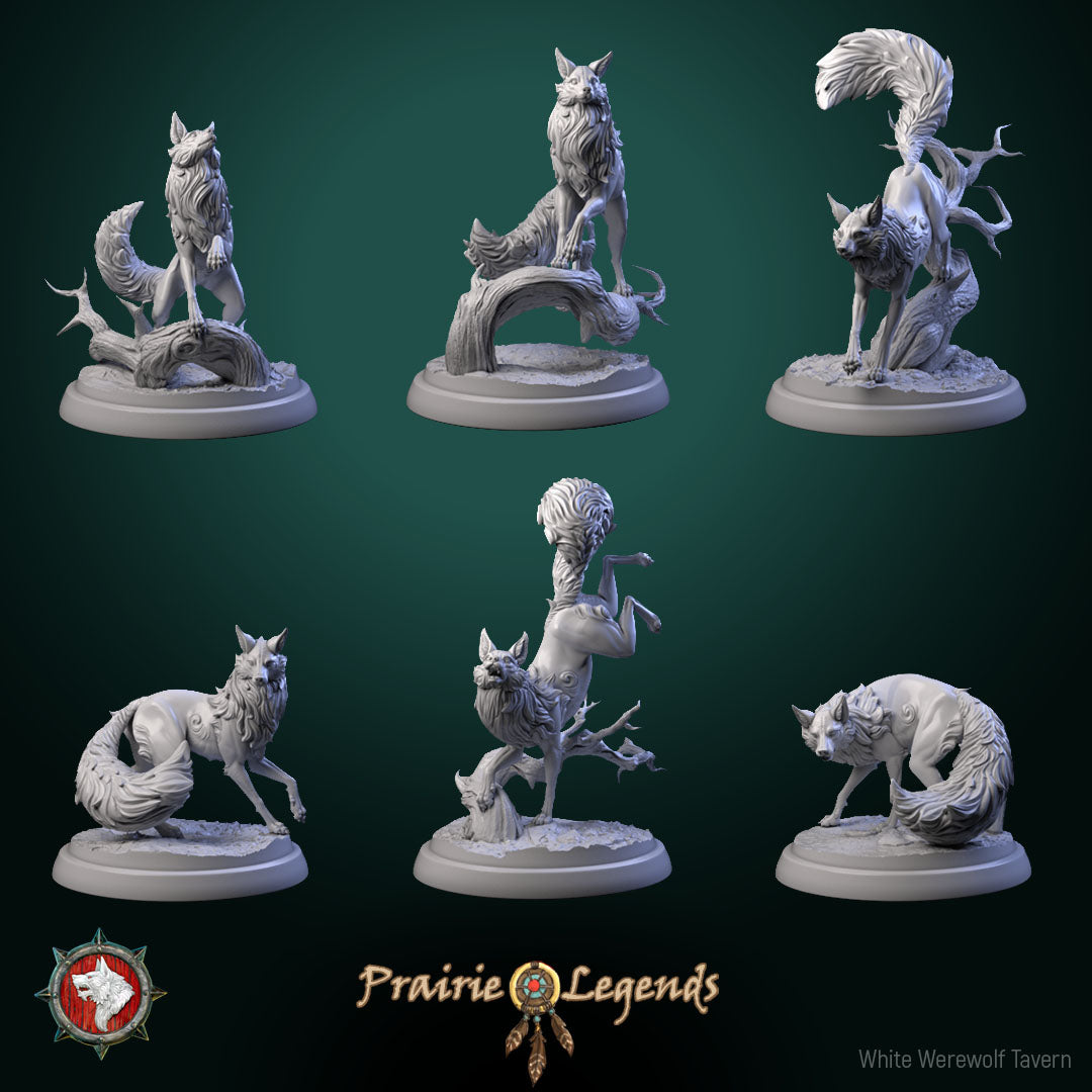 Magic Fox Bundle