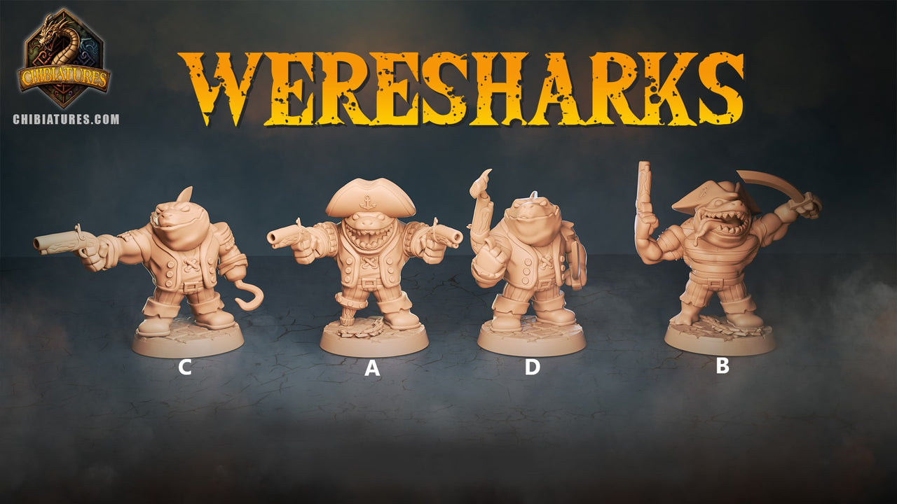 Wereshark Bundle 3