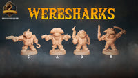 Thumbnail for Wereshark Bundle 3
