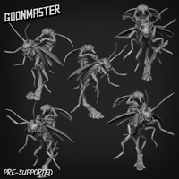 Thumbnail for Flying Roach Rider Bundle