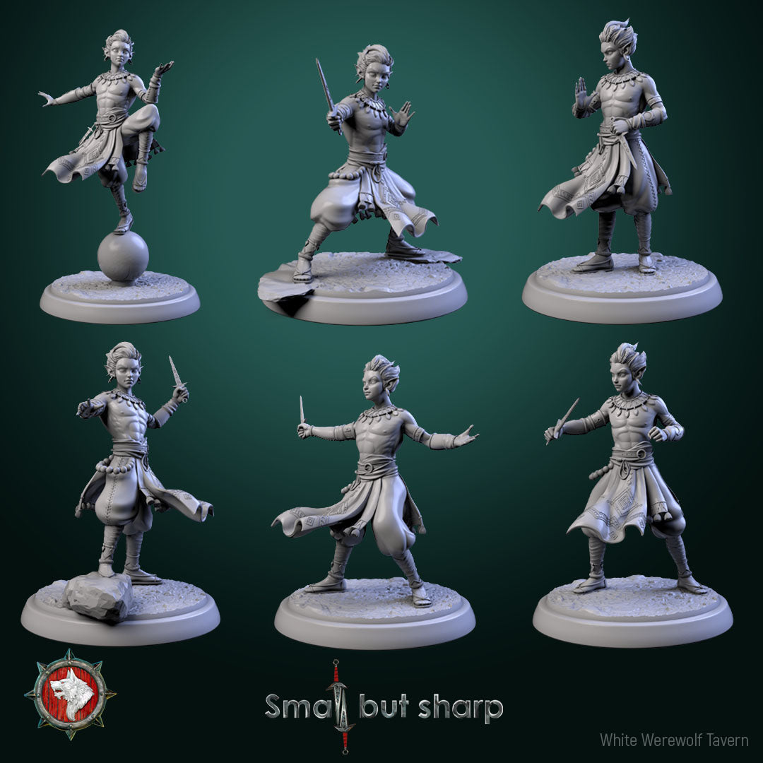 Halfing Monk Bundle