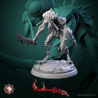 Thumbnail for Memorants Bundle