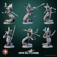 Thumbnail for Merfolk Bundle