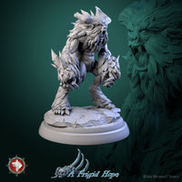 Thumbnail for Winterbeast Bundle