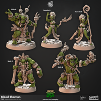 Thumbnail for Blood Shaman Bundle