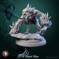 Thumbnail for Winterbeast Bundle