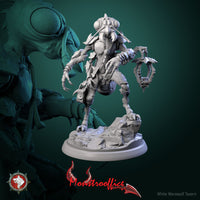 Thumbnail for Memorants Bundle