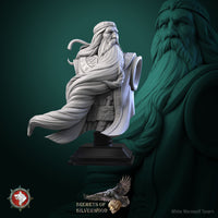 Thumbnail for Volkhv Bust