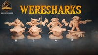 Thumbnail for Wereshark Bundle 5