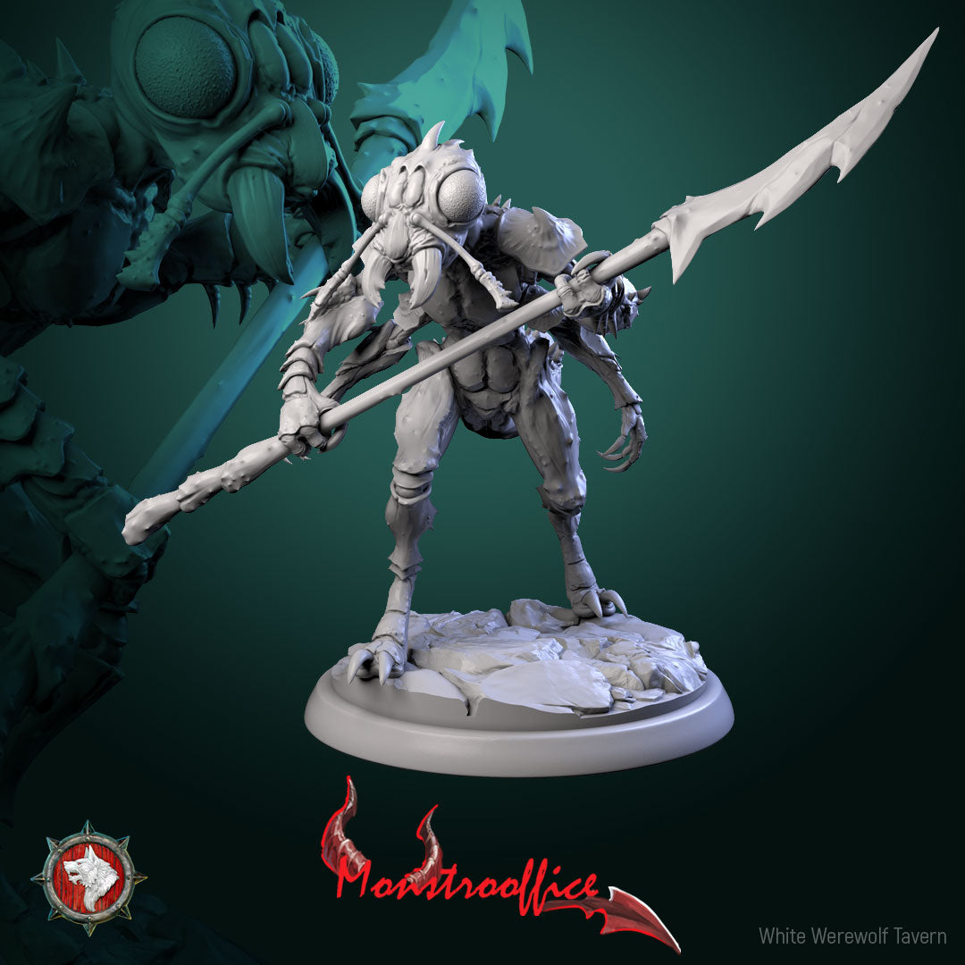 Memorants Bundle