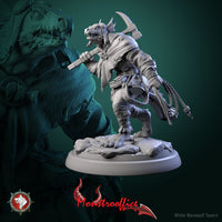 Thumbnail for Kobold Manager Bundle