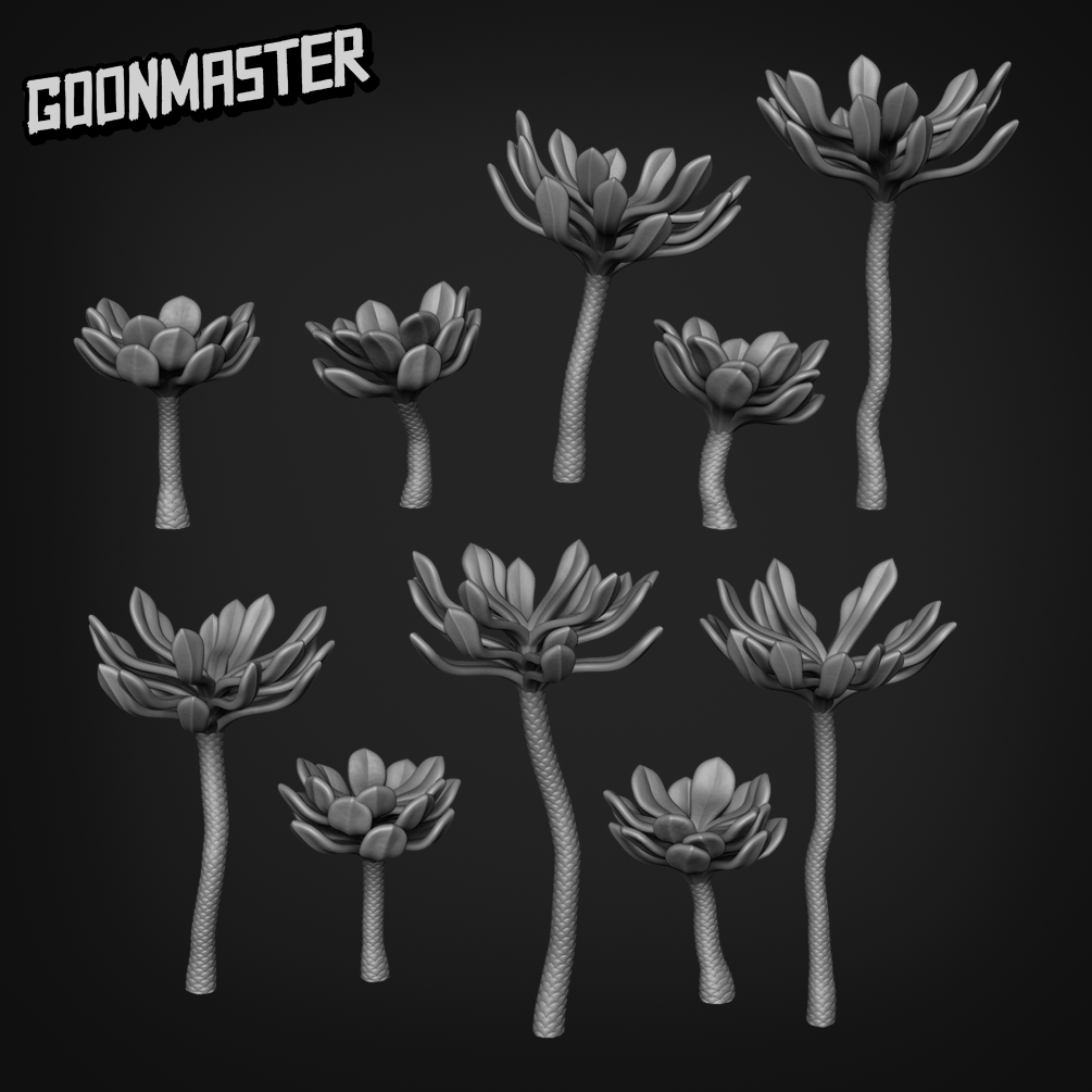 Basing Bits - Aeonium Hierrense