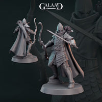 Thumbnail for Elf Fighter Warband Bundle