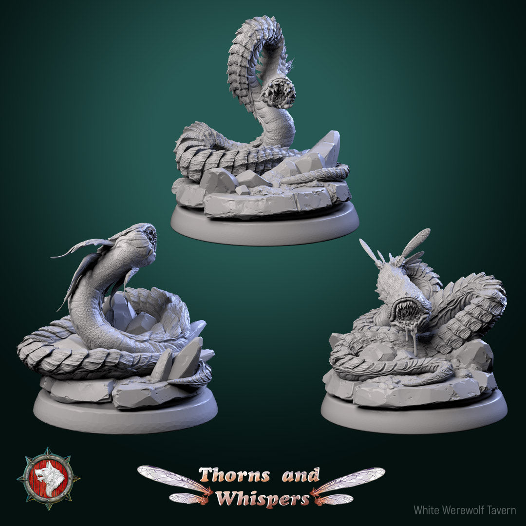 Blooming Coilspawn Bundle