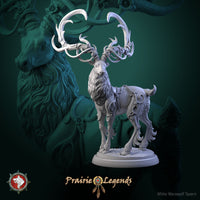 Thumbnail for Magic Deer Bundle