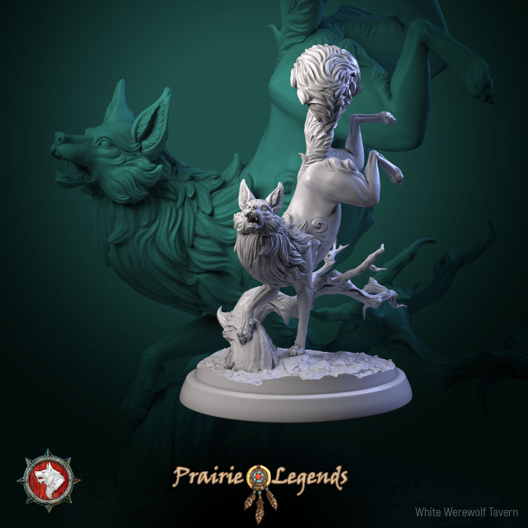 Magic Fox Bundle