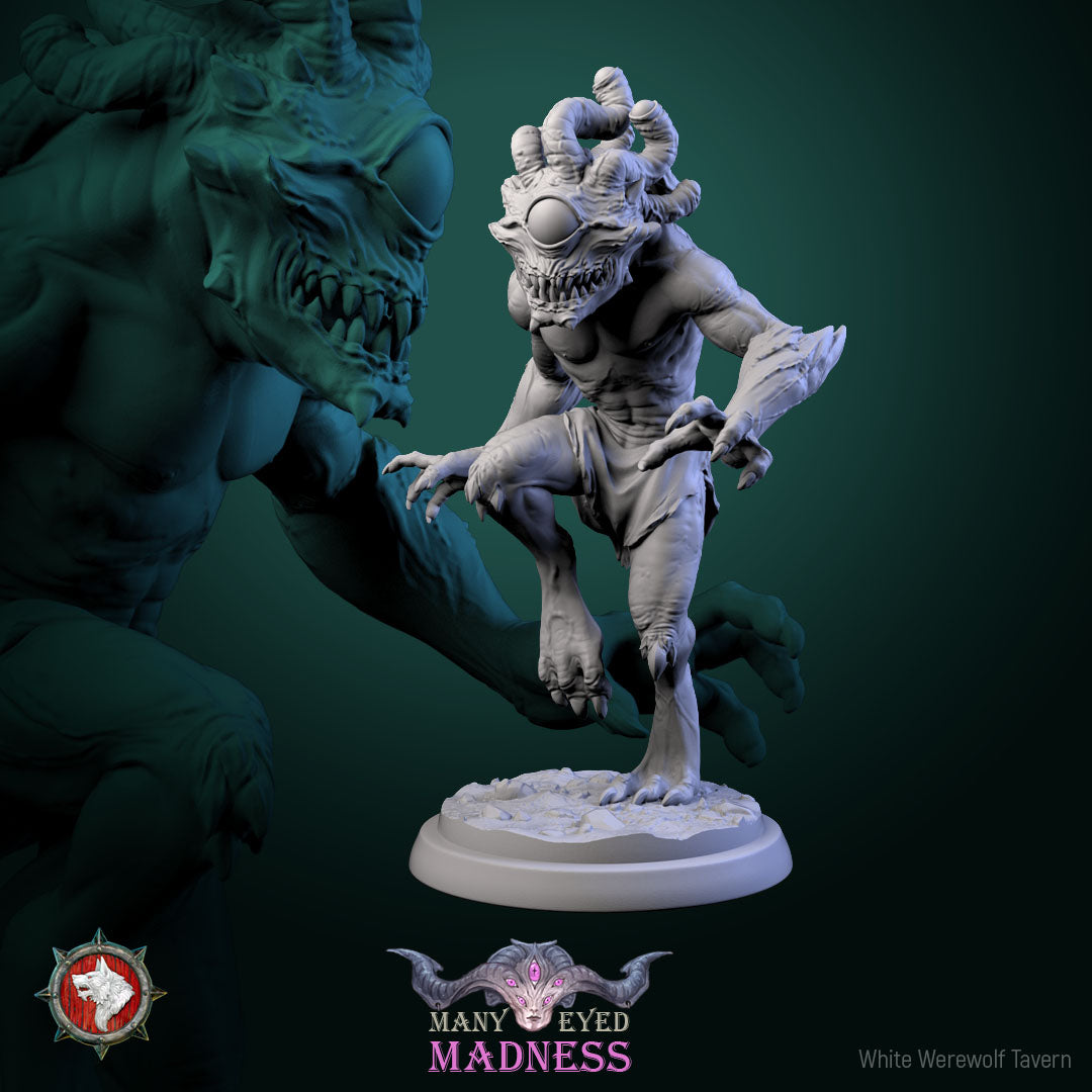 Morpheye Bundle