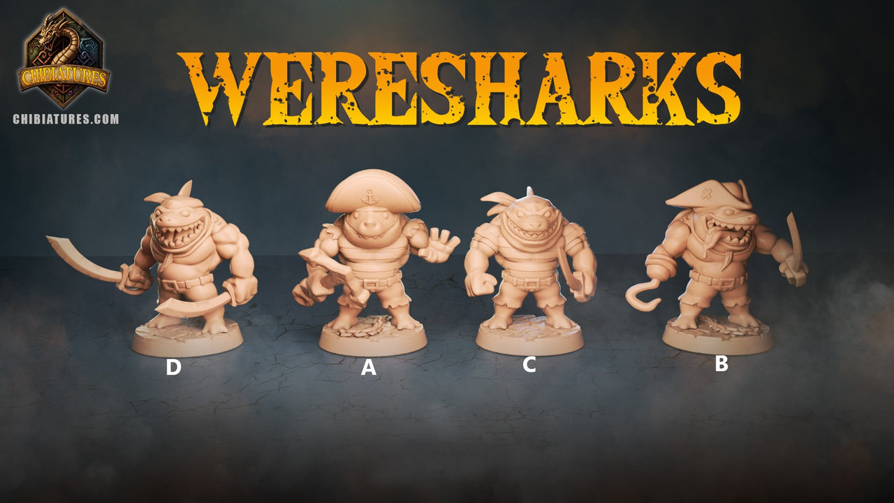 Wereshark Bundle 1