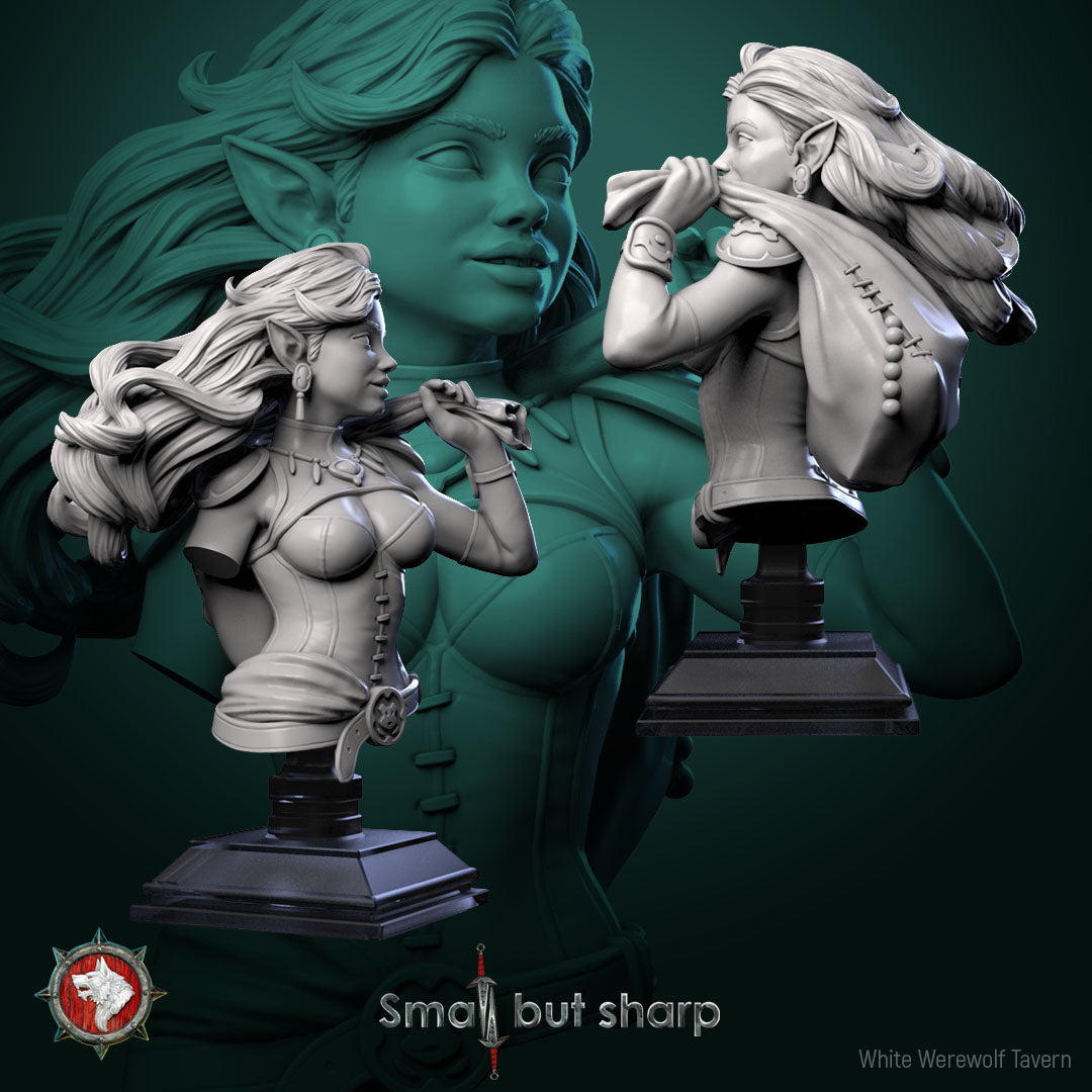 Halfling Thief Bust