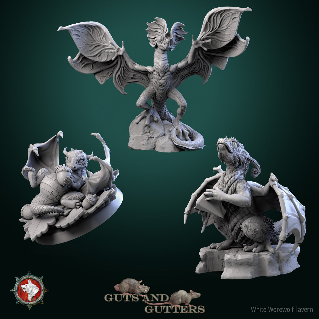 Baby Dragons Bundle