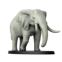 Thumbnail for Elephant