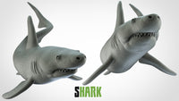 Thumbnail for Shark