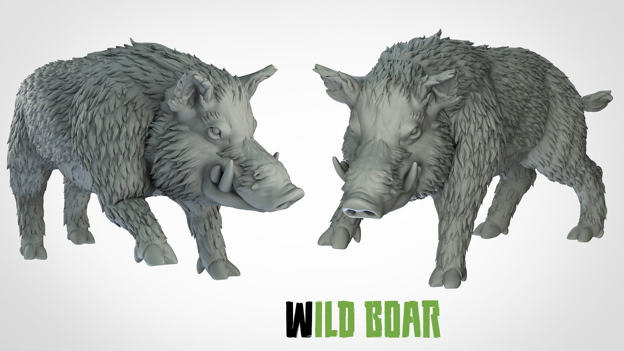 Wild Boars