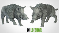 Thumbnail for Wild Boars