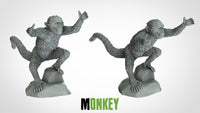 Thumbnail for Monkeys
