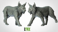 Thumbnail for Lynx