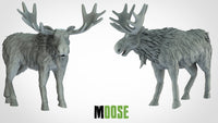Thumbnail for Moose